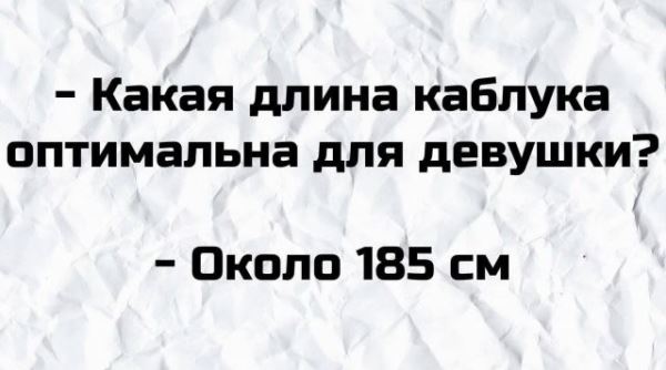 
							Плохие шутки, после которых улыбнулись все пользователи Сети (16 фото)
						
						
					