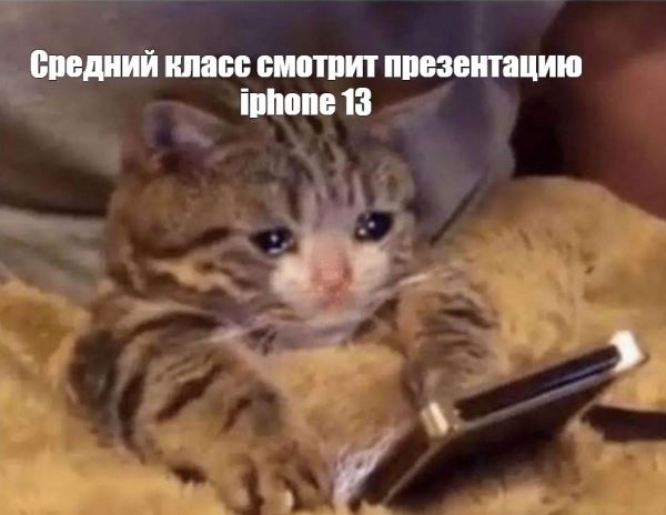 Пытаемся увидеть разницу: пользователи смеются над iPhone 13